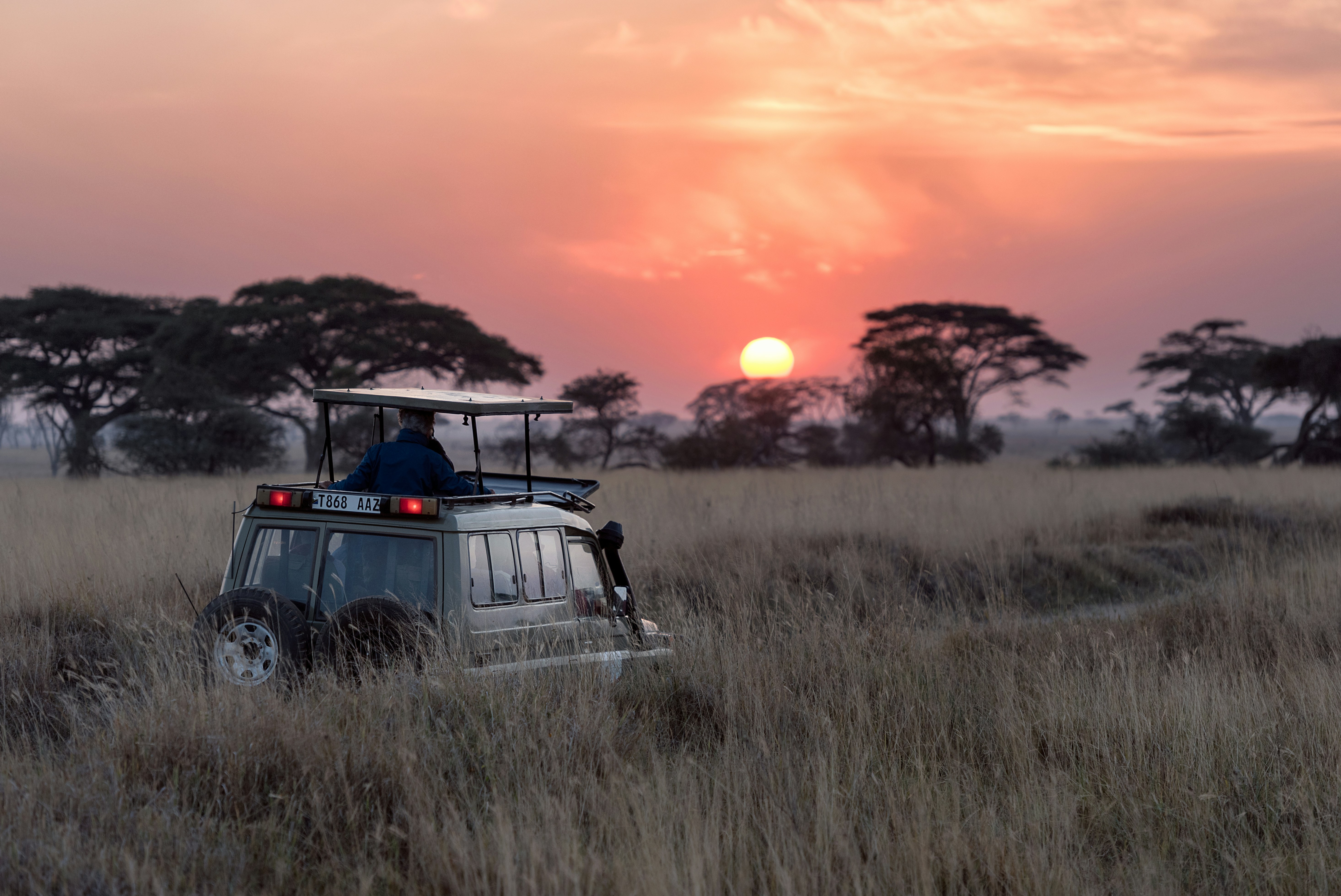 Wildlife Safari Adventure experience Omnia